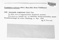 Image Associated With the Occurence
